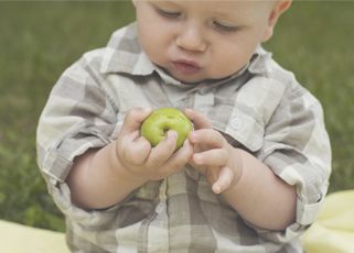 stage 3 weaning