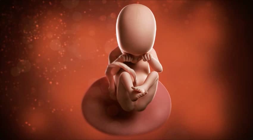 Unborn baby at 18 weeks