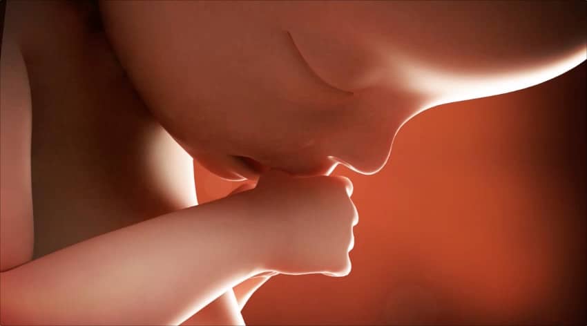 Unborn baby at 21 weeks