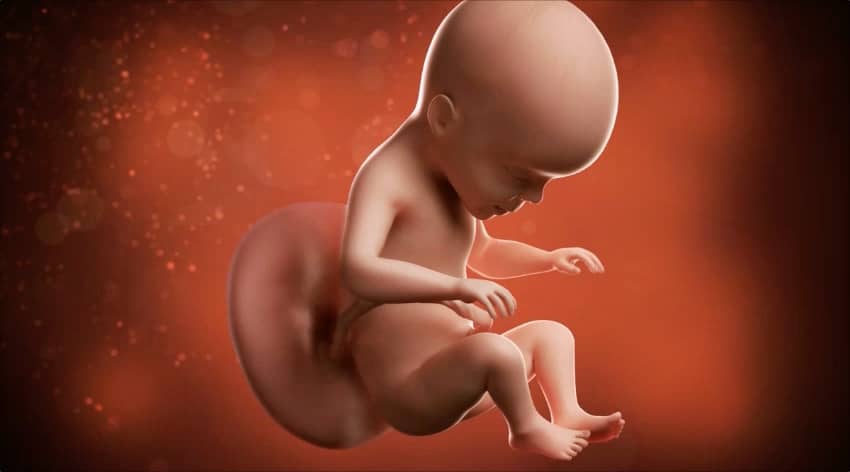 Unborn baby at 26 weeks