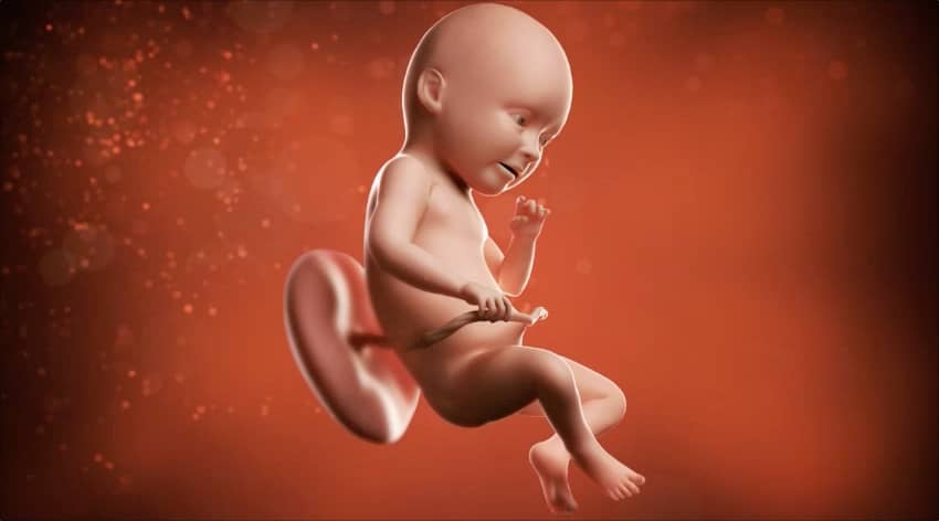 Unborn baby at 34 weeks