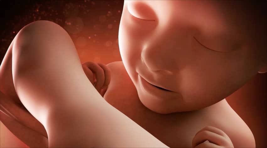Unborn baby at 35 weeks