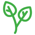little-steps-plantygrow-leaves-icon.png