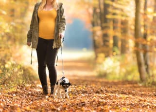 pregnant-women-walking-dog