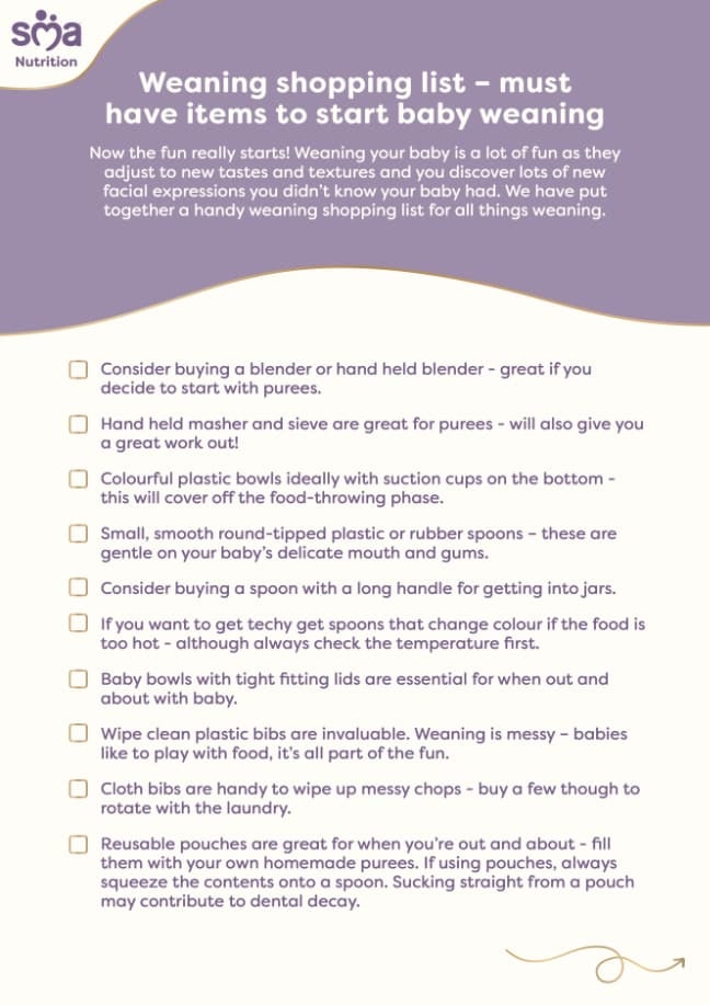 Baby Weaning Essentials: What You Really Need To Buy - Baby Checklist - PDF Preview
