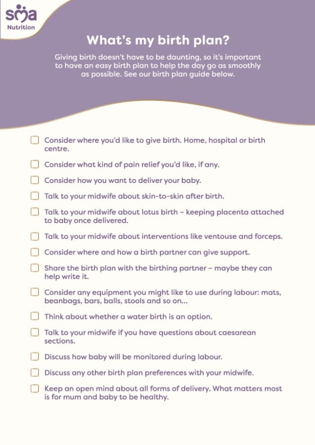 Creating a Birth Plan - Pregnancy Checklist - PDF Preview