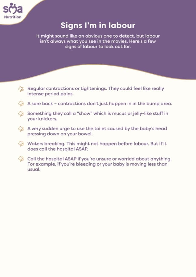 Signs That You're In Labour - Pregnancy Checklist - PDF Preview