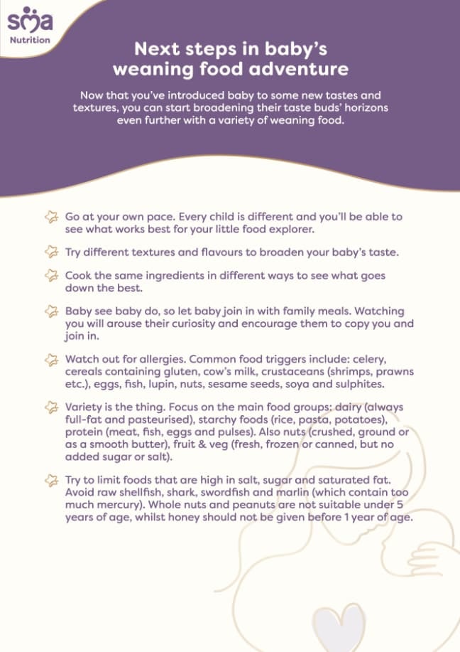 The Next Steps in Your Baby's Weaning Journey - Baby Checklist - PDF Preview