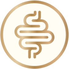 benefit-icon-gut-health