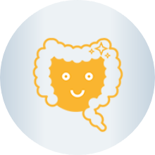 Graphic of gut and large intestine